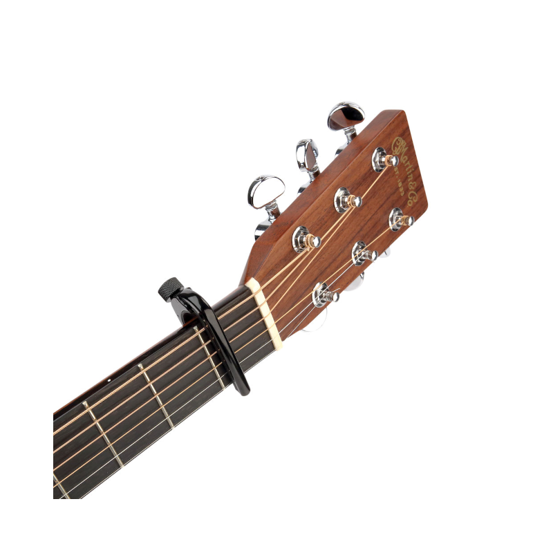 D'Addario PW-CP-02 - kapodaster - 3