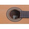 Admira Paloma - gitara klasyczna 4/4 - 4