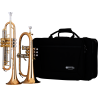 Jupiter JTR 1100R - JFH 1100R SET - zestaw Trąbka i Flugelhorn - 1