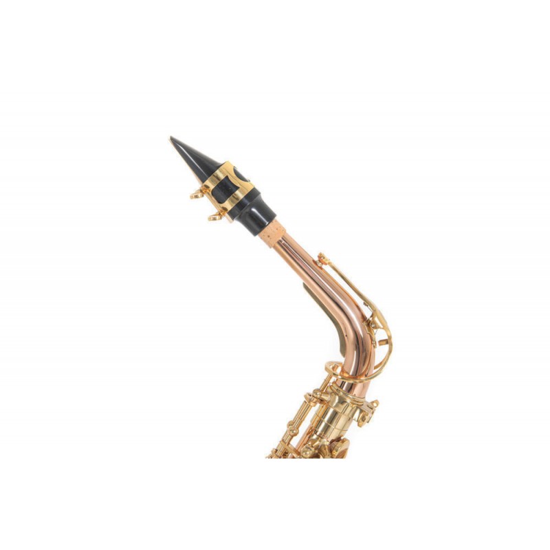 Roy Benson AS-202G - Saksofon altowy w stroju Eb - 11