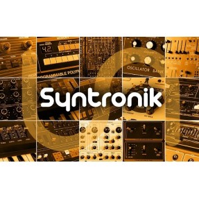 IK MULTIMEDIA Syntronik - Instrument wirtualny