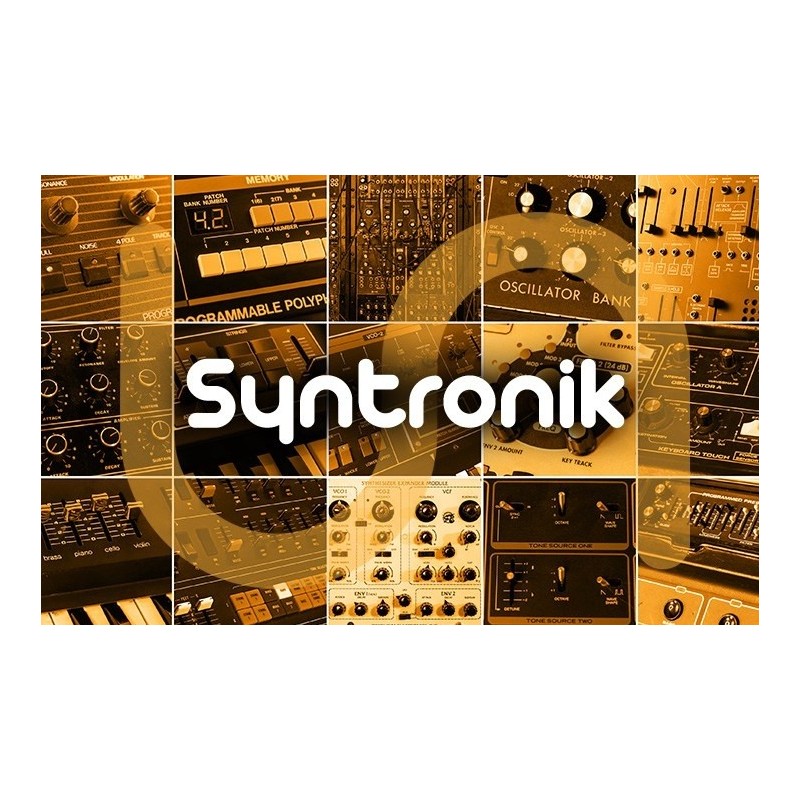 IK MULTIMEDIA Syntronik - Instrument wirtualny