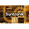 IK MULTIMEDIA Syntronik - Instrument wirtualny