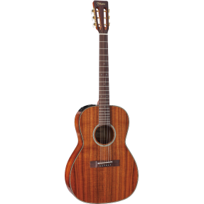 Takamine EF407 - gitara elektro-akustyczna - 1
