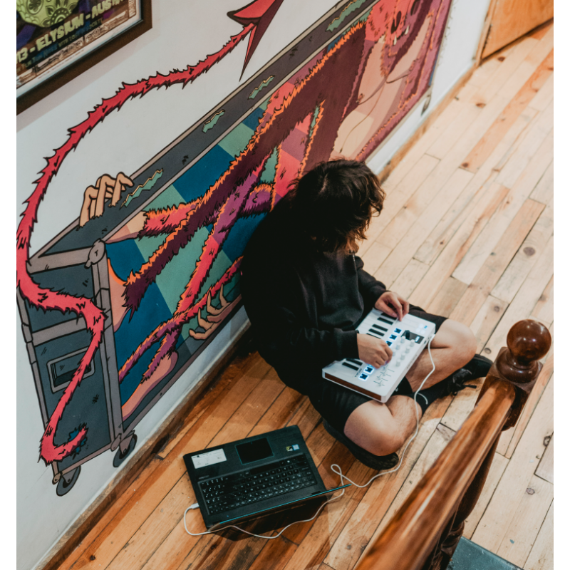 Arturia MiniLab 3 Black - klawiatura sterująca - 11