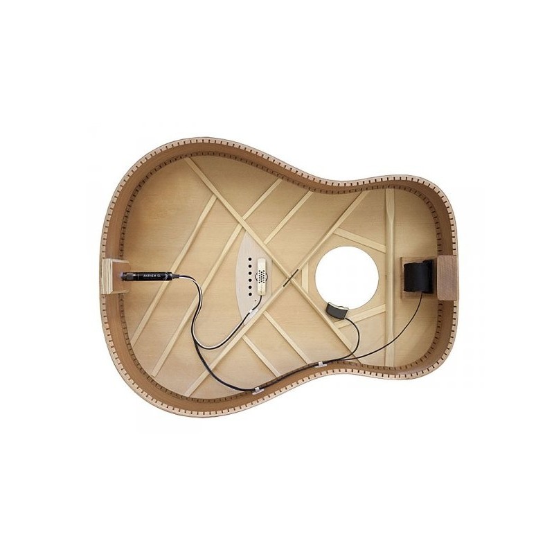 LR BAGGS ANTHEM - System pickup