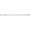 EUROLITE LED IP Strip 150 5m RGB 24V - 2