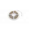 EUROLITE LED IP Strip 600 5m 2835 4000K 24V - 1