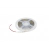 EUROLITE LED IP Strip 600 5m 2835 2700K 24V - 1