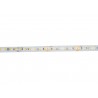 EUROLITE LED IP Strip 600 5m 2835 2700K 24V - 2