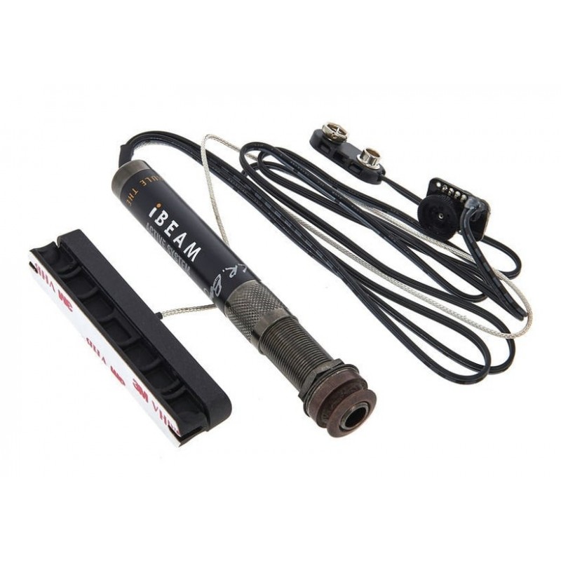 LR BAGGS iBeam Active System Classical - pickup