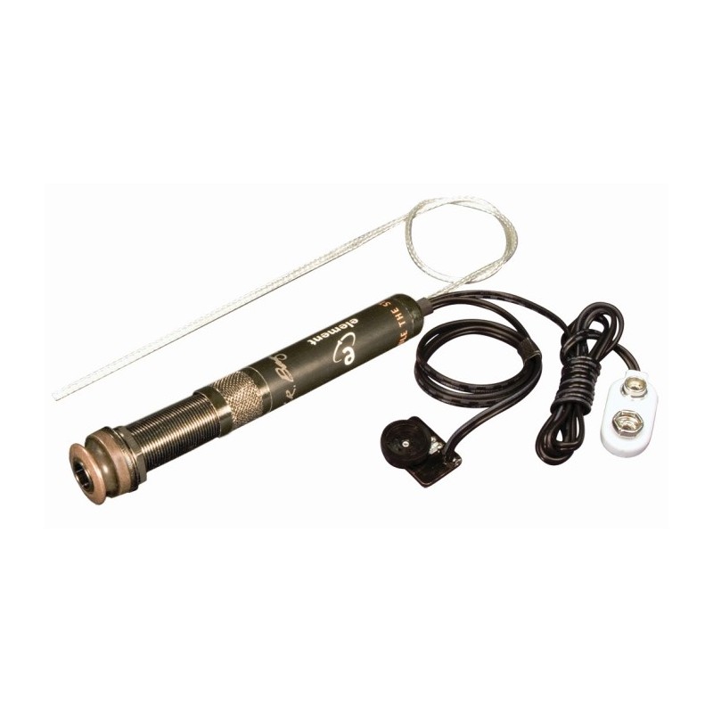 LR BAGGS EAS - przetwornik