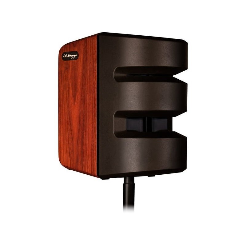 LR BAGG Synapse - wzmacniacz akustyczny