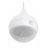 OMNITRONIC WP-5H Ceiling Speaker - 3