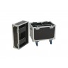 ROADINGER Flightcase 2x LED TMH-75 - 2