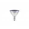 OMNILUX PAR-38 230V SMD 15W E-27 LED blue - 1