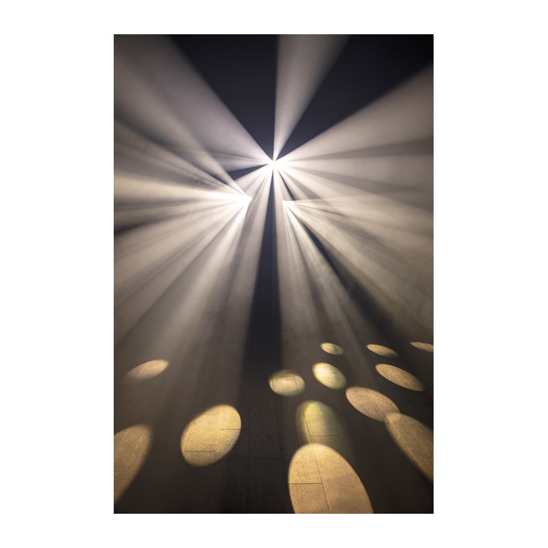 Showtec Dataflower - 4