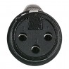 DAP Audio XLR 3P X-type female - Black end cap - Black Housing - 2