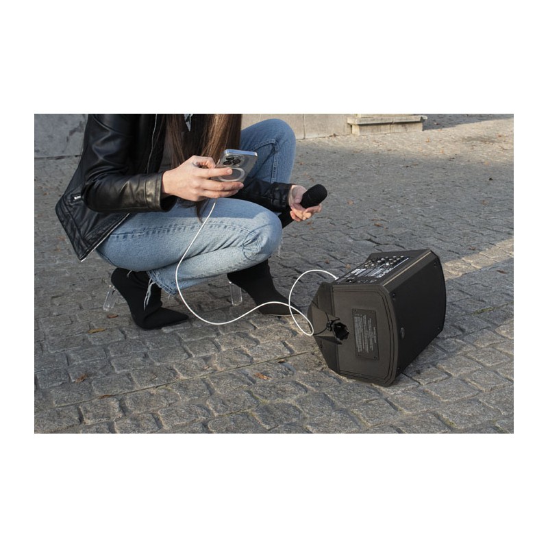 DAP Audio WM-10 Handheld Microphone for PSS-106 - 5