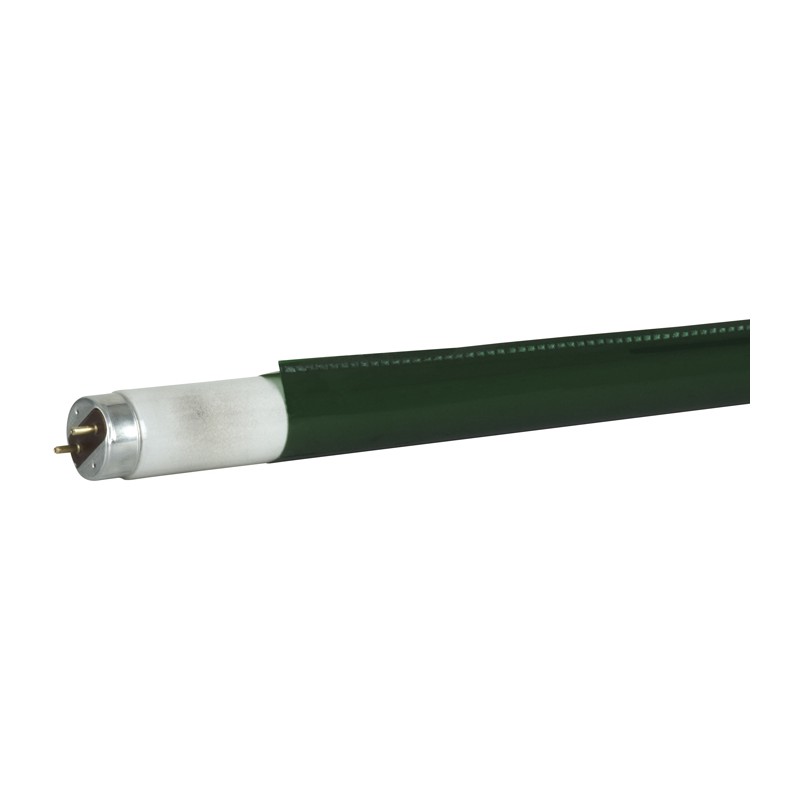 Showgear C-Tube T8 1200 mm - primary green - colour fast filter - 1