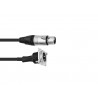 PSSO Patch Cable XLR(F)/XLR(M) S 1m bk - 1