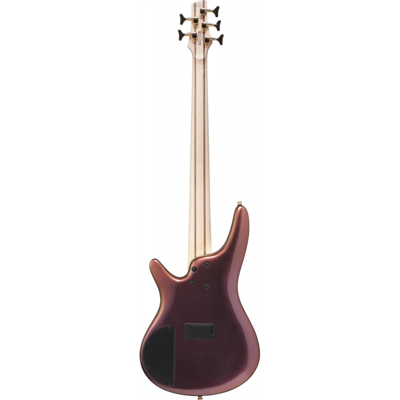 Ibanez SR305EDX-RGC - gitara basowa - 2