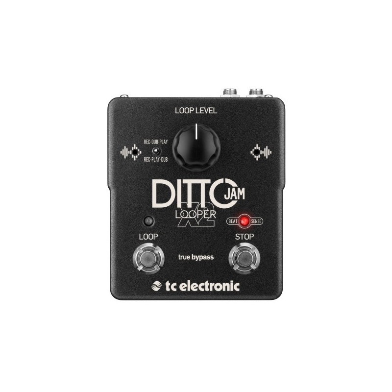 TC ELECTRONIC Ditto JAM X2 - efekt gitarowy