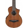 Ibanez EWP12EWB-OPN - gitara akustyczna - 4