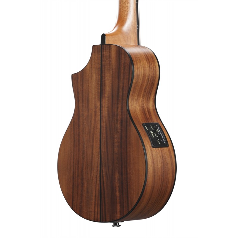 Ibanez EWP12EWB-OPN - gitara akustyczna - 7