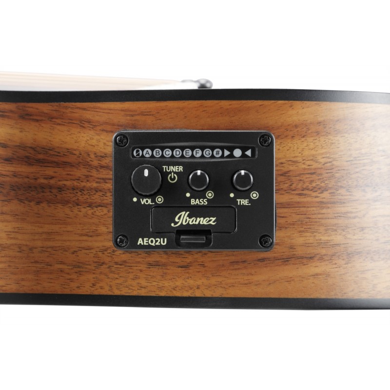 Ibanez EWP12EWB-OPN - gitara akustyczna - 10