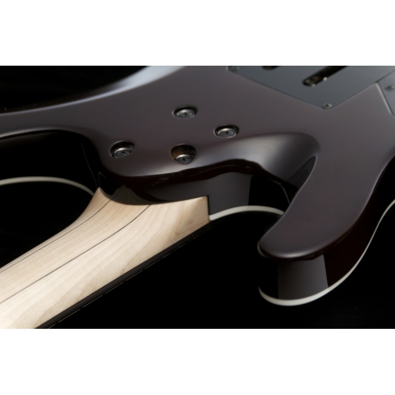 Ibanez KIKO100-TRR Kiko Loureiro - gitara elektryczna - 10