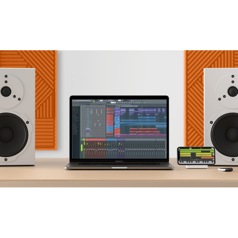 Image Line FL Studio 21 Academic Signature Edition EDU - Program DAW - 6