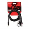D'Addario PW-MPXLR-06 - Kabel audio 1x Jack - 2x XLR - 2