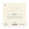 D'Addario EJ69B - Struny do banjo 5-strunowe (9-20) - 3