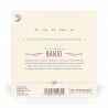 D'Addario EJ57 - Struny do banjo 5-strunowe (11-22) - 3