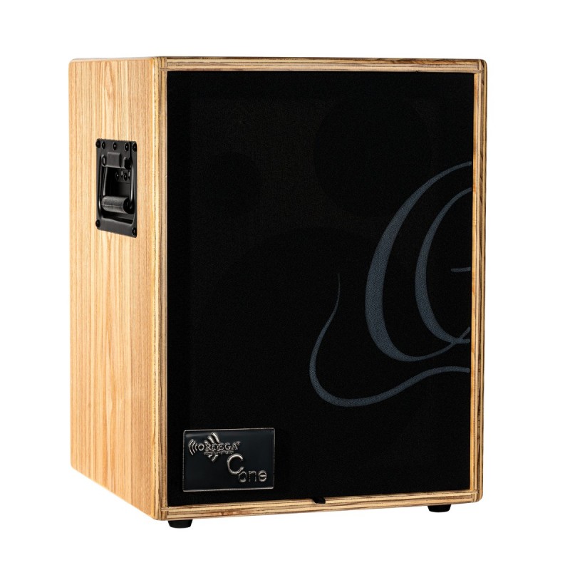 Ortega CONE-ASH - wzmacniacz akustyczny combo - 1