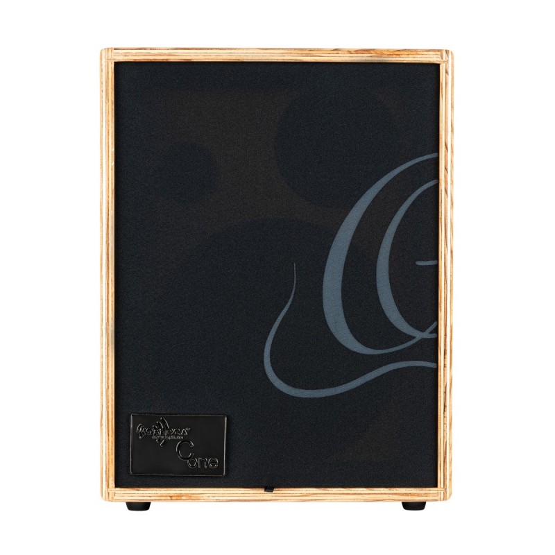 Ortega CONE-ASH - wzmacniacz akustyczny combo - 3