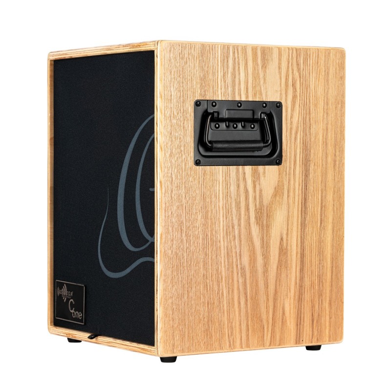 Ortega CONE-ASH - wzmacniacz akustyczny combo - 5