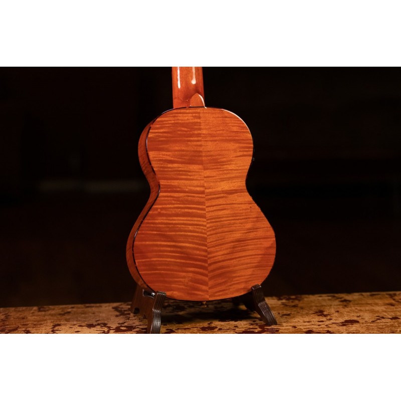 Ortega RGLE18FMH - guitarlele - 4