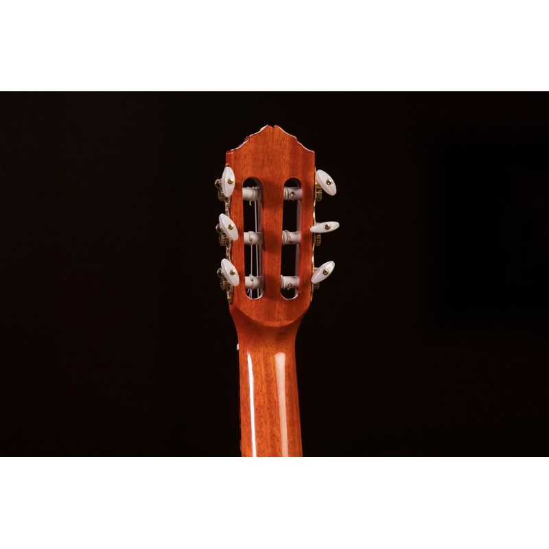 Ortega RGLE18FMH - guitarlele - 6