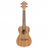 Ortega RFU11ZE-L - ukulele koncertowe - 2