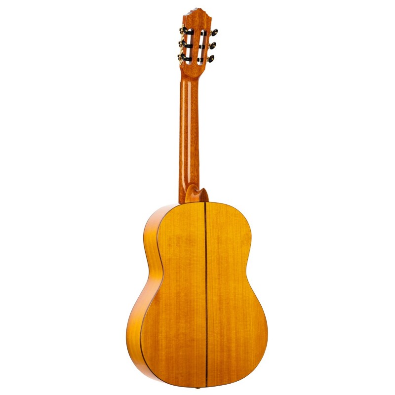Ortega R170F - gitara akustyczna - 6