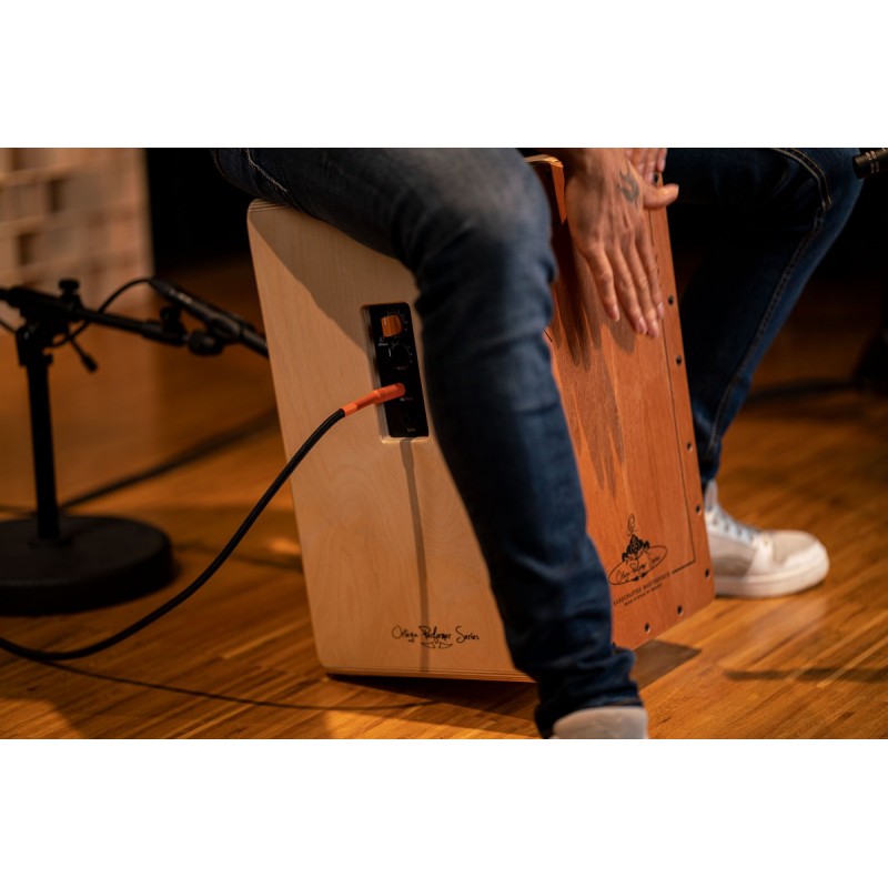 Ortega OCJPF-2 - cajon - 6