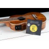 Ortega GTLS - struny do guitalele (.024/.040) - 4
