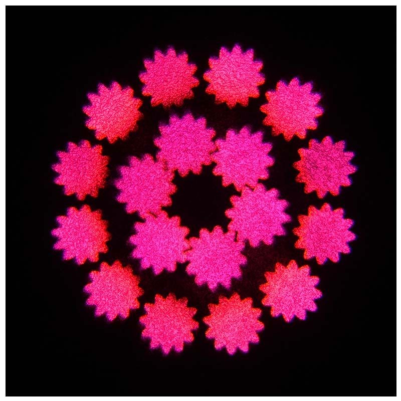 EVOLIGHTS NEO BEAM 100W - głowica ruchoma LED - 11