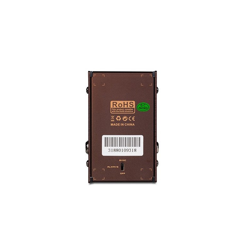 Joyo R-01 Tauren - efekt gitarowy - 2