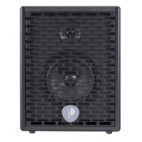 Prodipe Natural6 - combo akustyczne 140W - 1