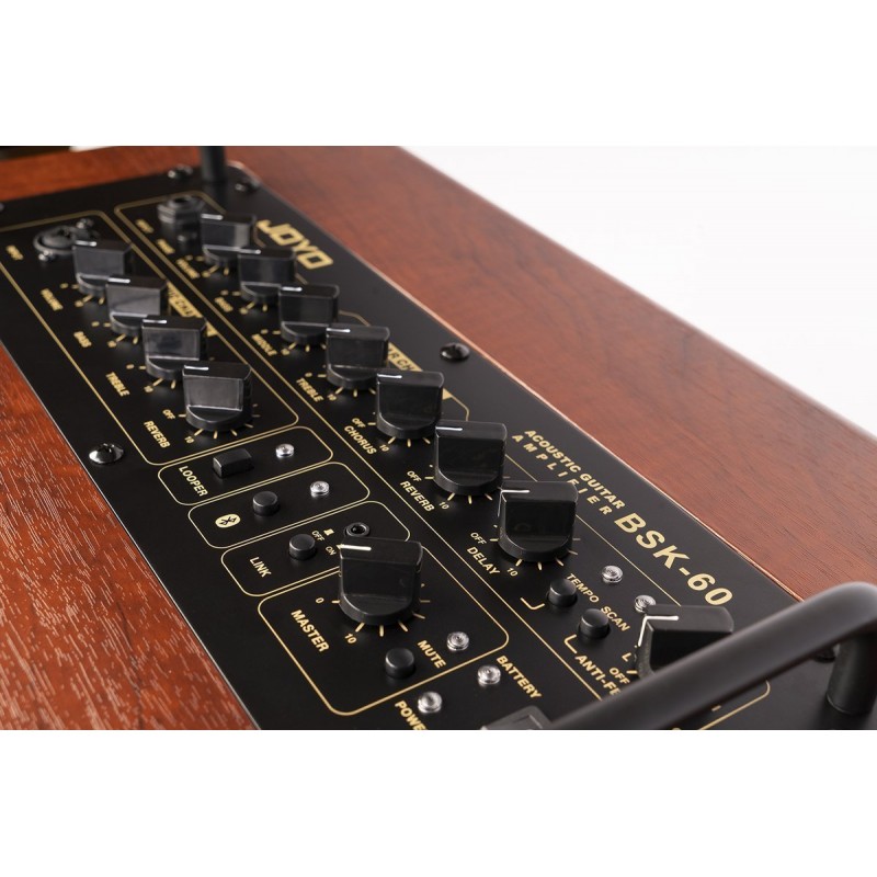 Joyo BSK-60 - combo akustyczne 60W - 2