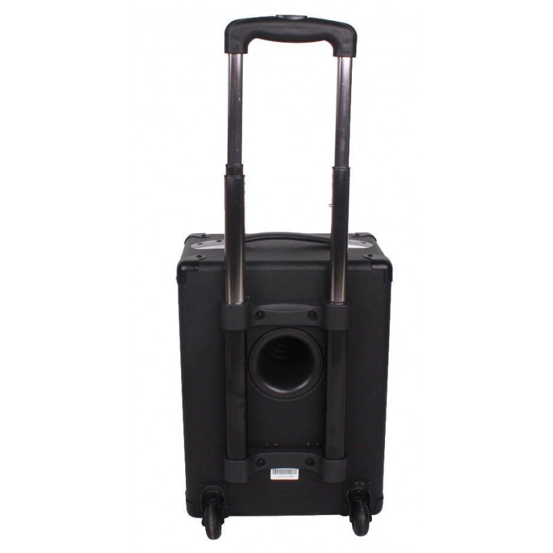 Joyo JPA-862 - przenośny wzmacniacz instrumentalny - 5