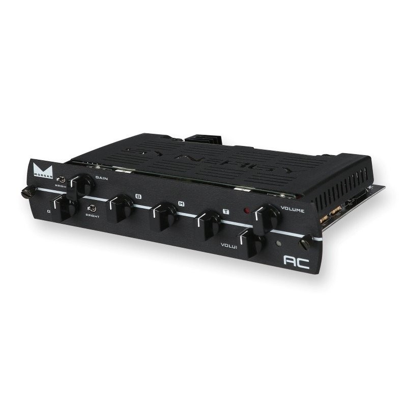 Synergy Amps Morgan AC - moduł przedwzmacniacza - 2